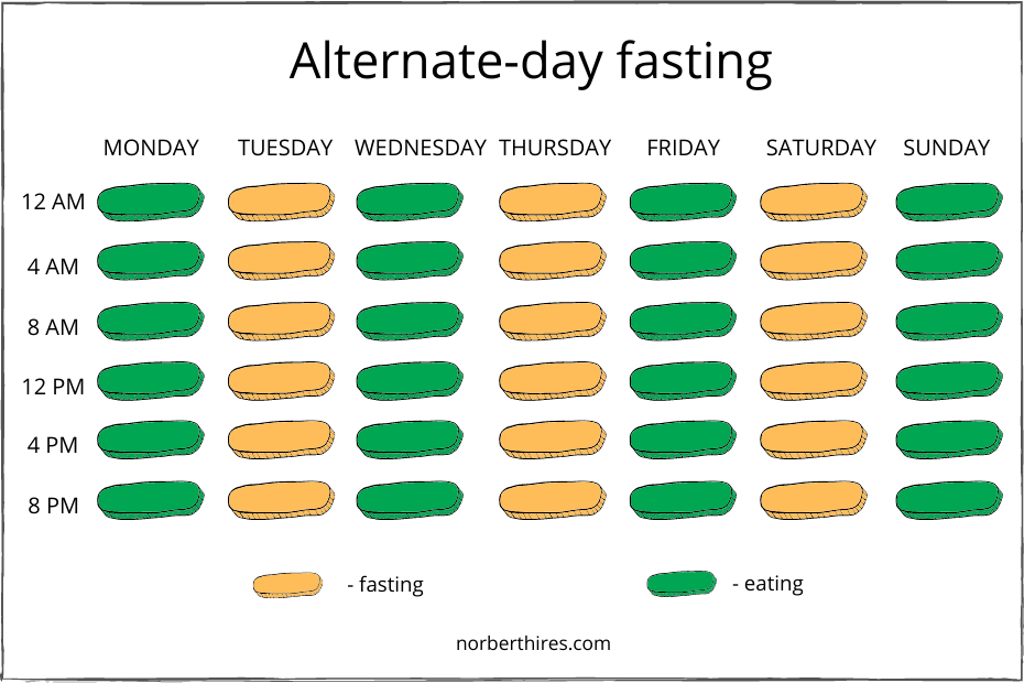 alternate-day fasting schedule