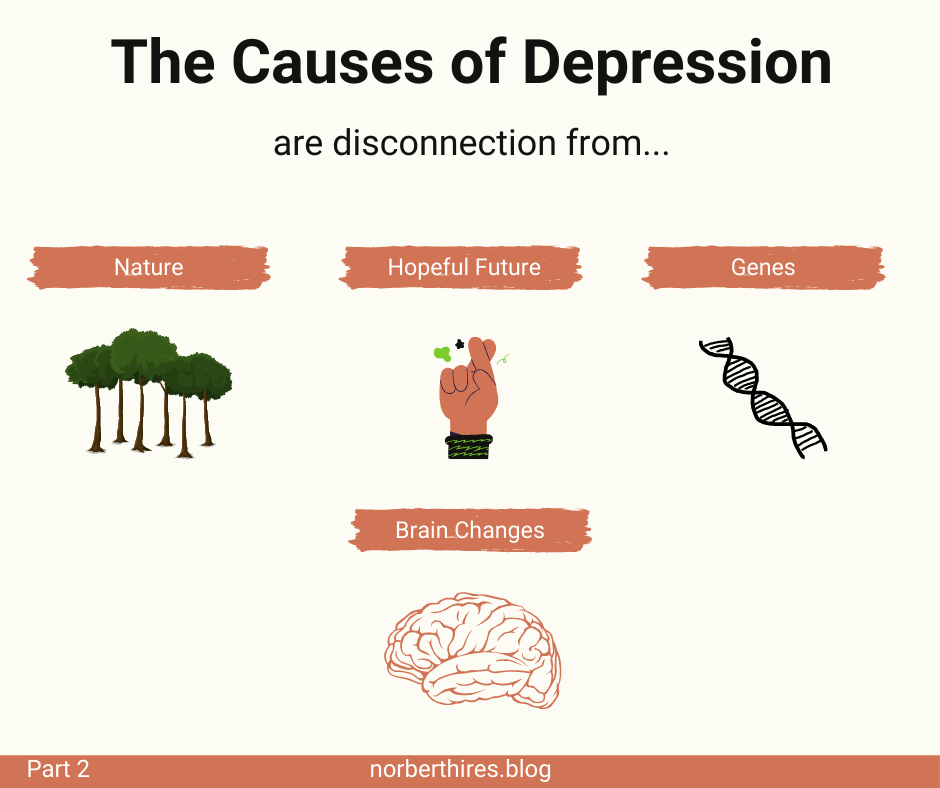 Other Causes of Depression