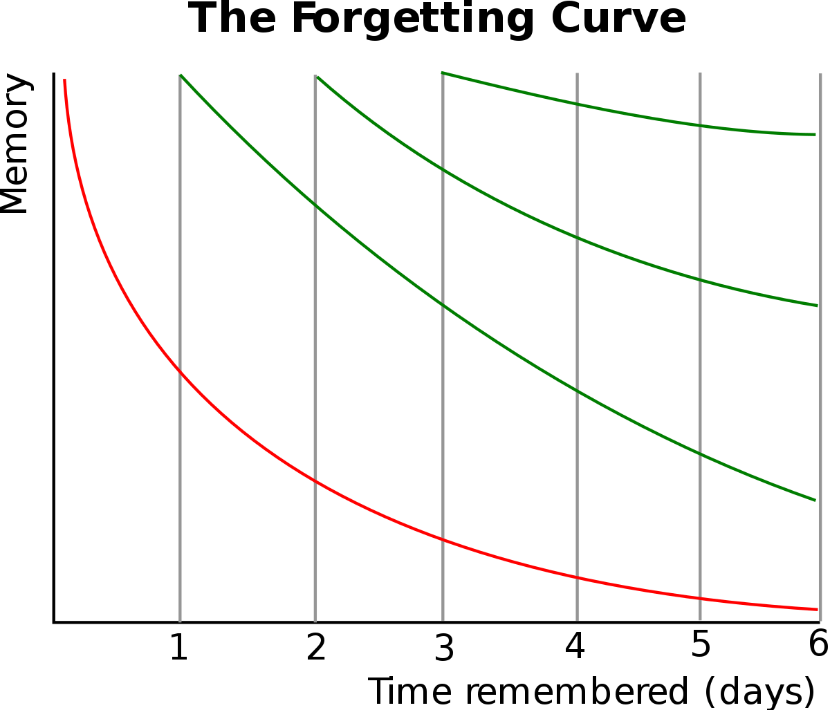 the forgetting curve